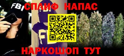 гашик Бузулук