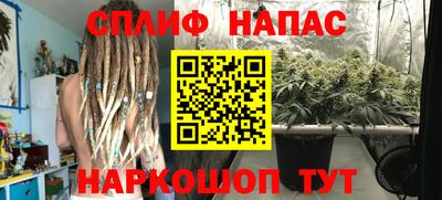 твердый Будённовск