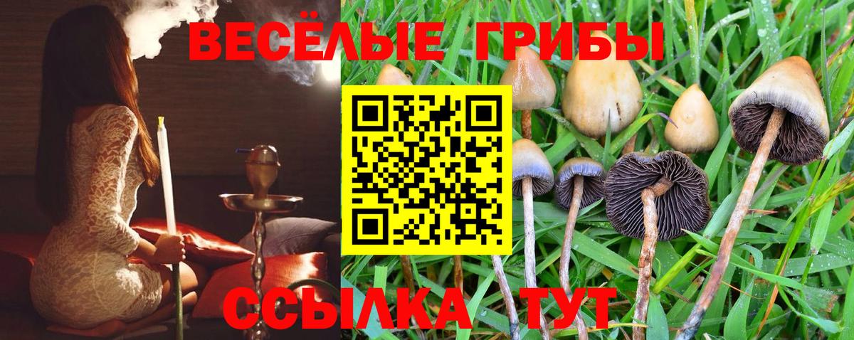 Бугуруслан  Псилоцибиновые грибы Cubensis  наркота  Псилоцибиновые грибы мицелий  Вход с VPN 